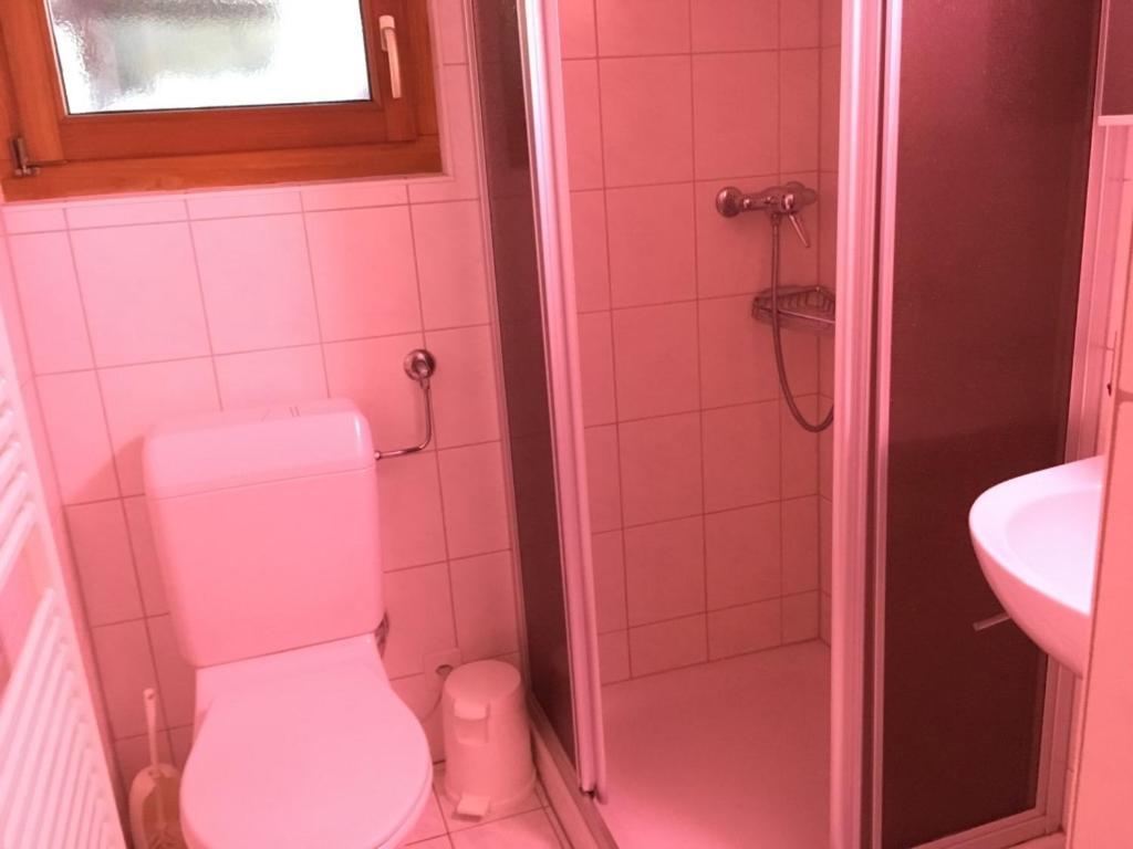 Chalet Marina Albinen Bagian luar foto